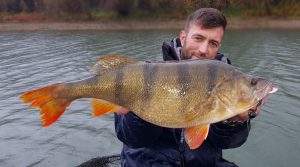 Guiding Tour auf Barsch